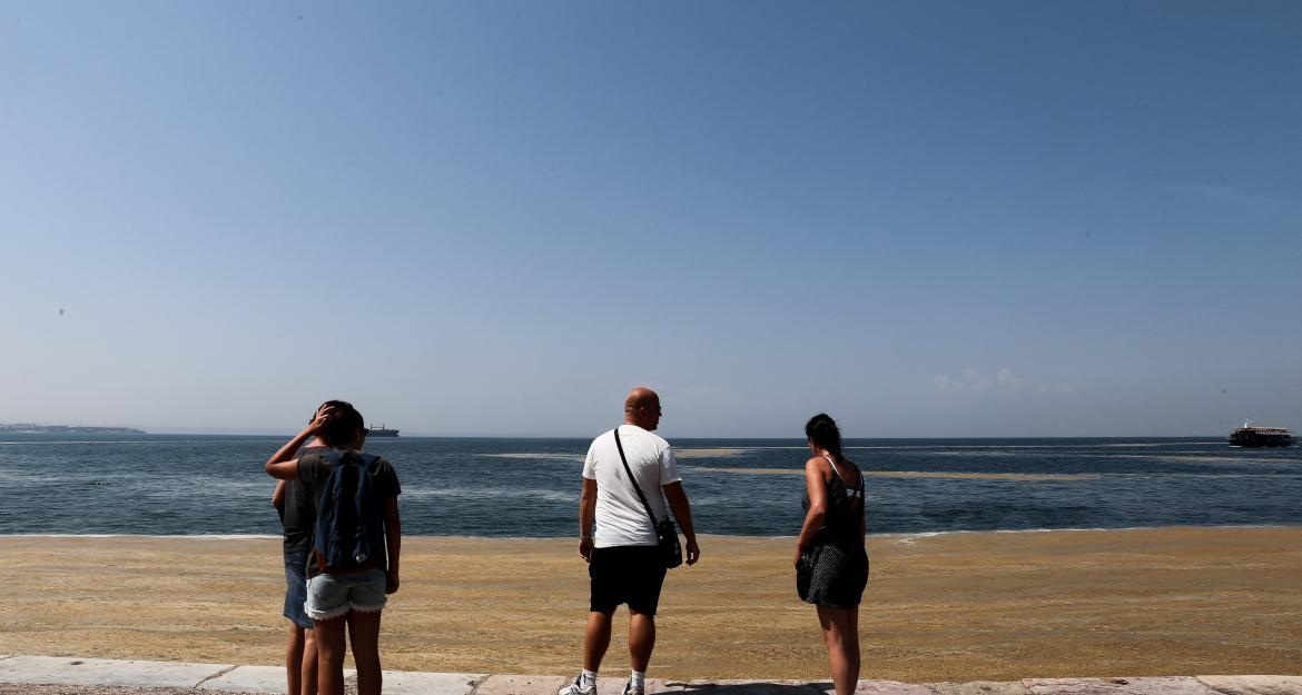 Το κόστος καθαρισμού του Θερμαϊκού αναλαμβάνει ο Σαββίδης
