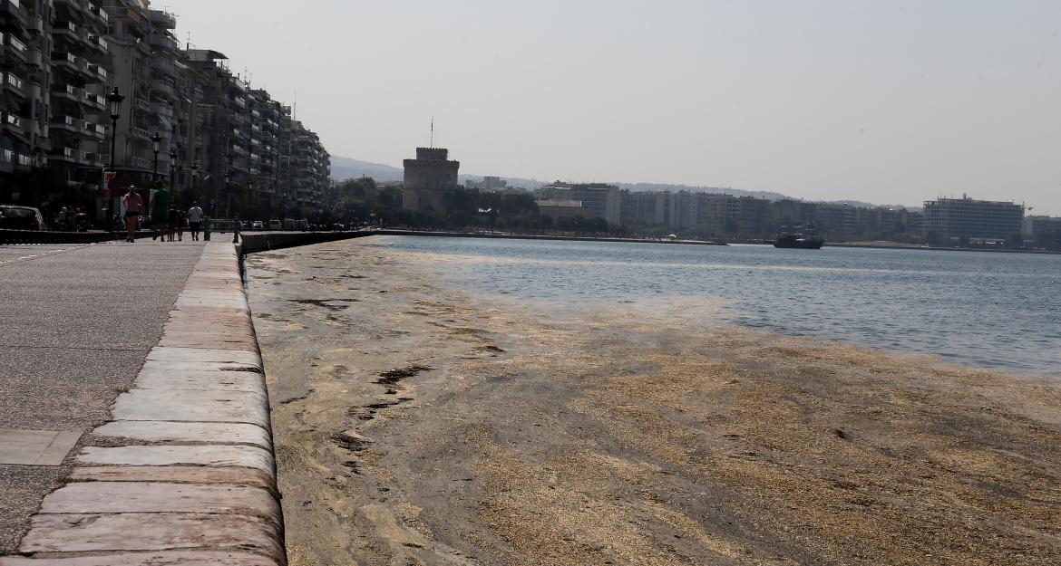 Το κόστος καθαρισμού του Θερμαϊκού αναλαμβάνει ο Σαββίδης
