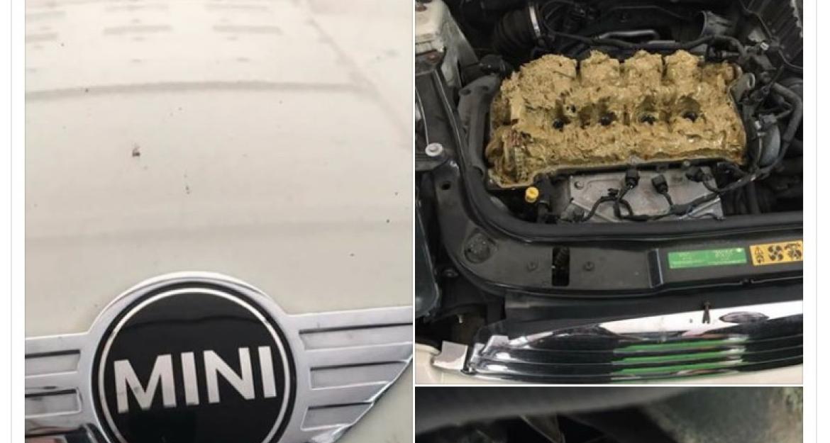 Μια κυρία βάζει... πλυστικό υγρό μέσα στον κινητήρα!