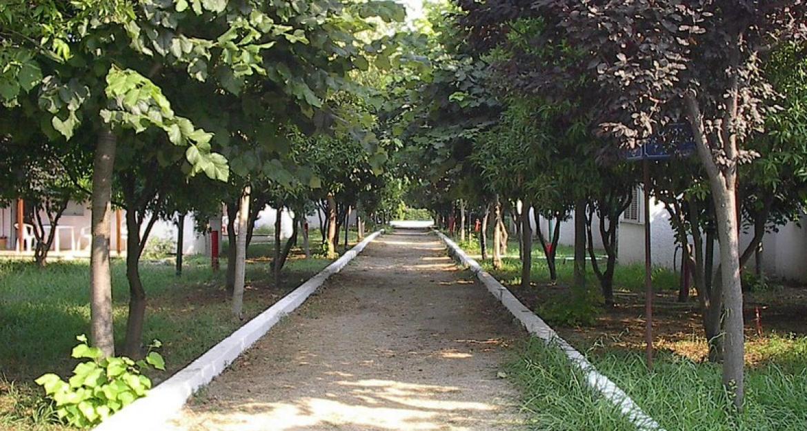 Με 1,5 εκατ. επιχορηγεί ο ΟΤΕ τα παραθεριστικά κέντρα των εργαζομένων