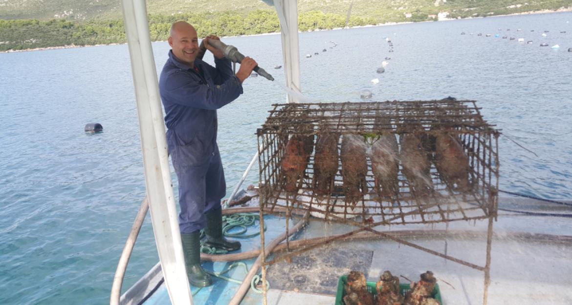 Κρασί από .... το βυθό βγάζει η Κροατία (pics)