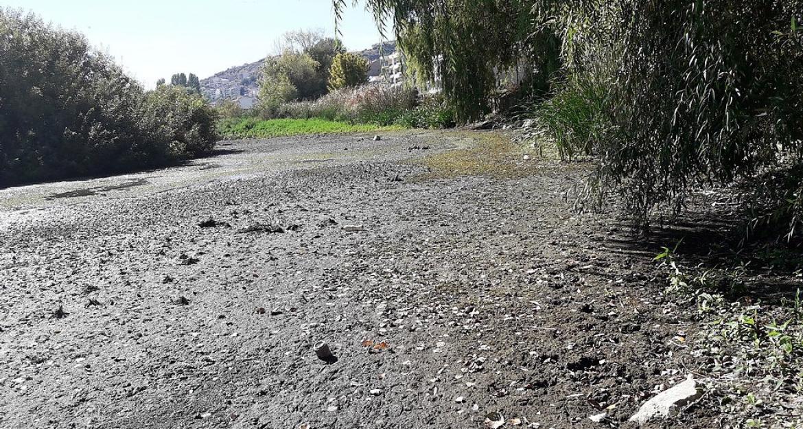 «Στέγνωσε» η λίμνη της Καστοριάς (pics)