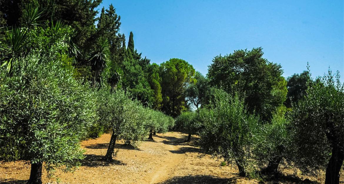 O μυστικός κήπος στην Κέρκυρα που κοστίζει 4,3 εκατ. ευρώ (pics)