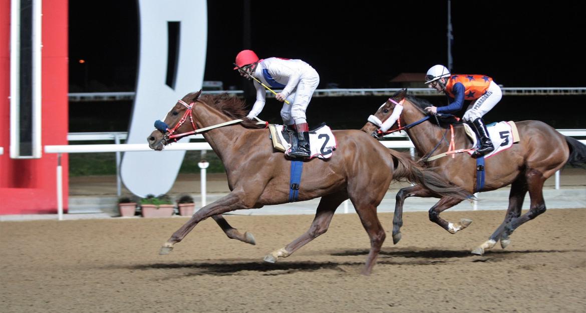 H «κούρσα της μιας ανάσας» σήμερα στον Ιππόδρομο (pics)