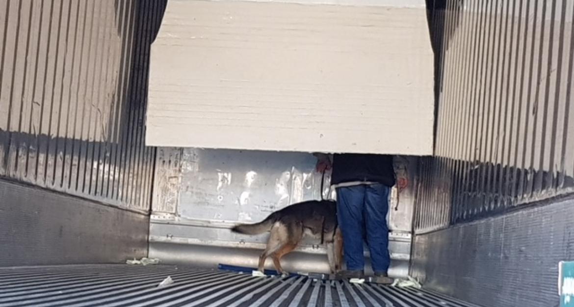 Στη «φάκα» της ΑΑΔΕ πάνω από 40 κιλά κοκαΐνης (pics)