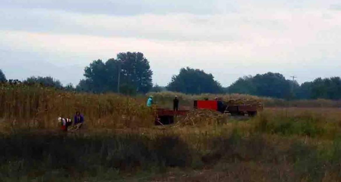 Το πρώτο λευκό ρούμι της Ευρώπης θα είναι ελληνικό (pics)