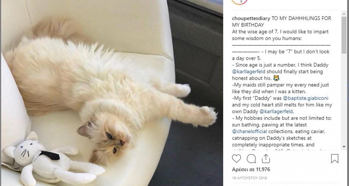 H γάτα του Καρλ Λάγκερφελντ μπορεί να γίνει εκατομμυριούχος!