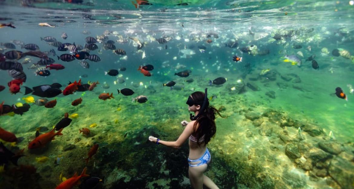 Το καλύτερο ξενοδοχείο βρίσκεται στη Χαβάη και περιμένει να σας μαγέψει (pics & vid)