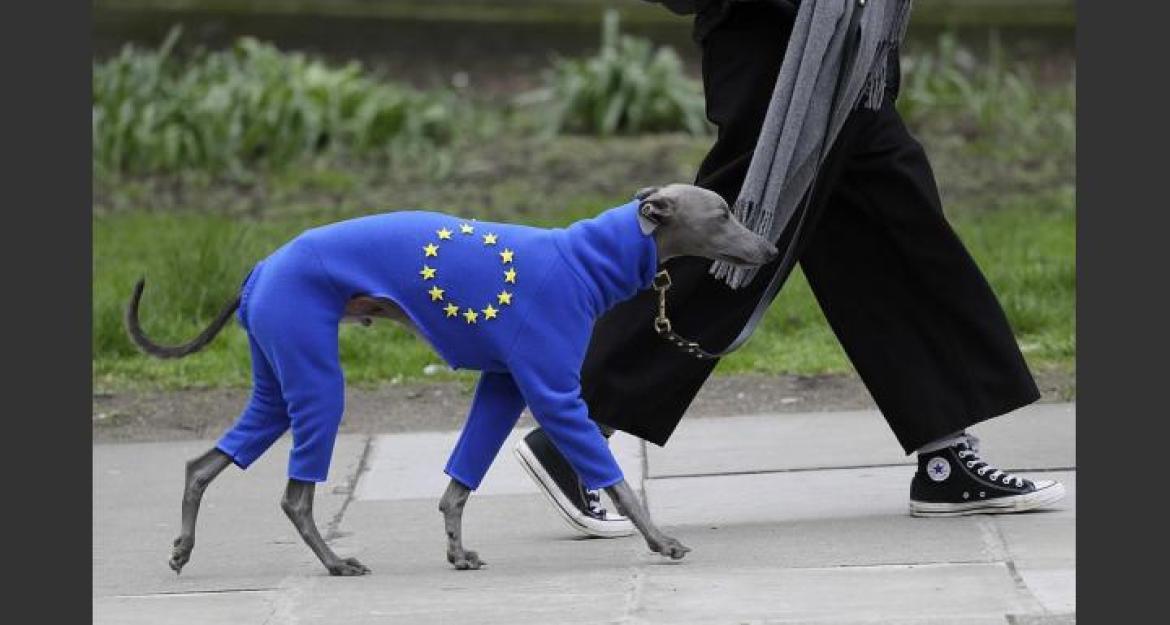 Στους δρόμους 1 εκατ. Βρετανοί: Ζητούν δεύτερο δημοψήφισμα για το Brexit (pics)