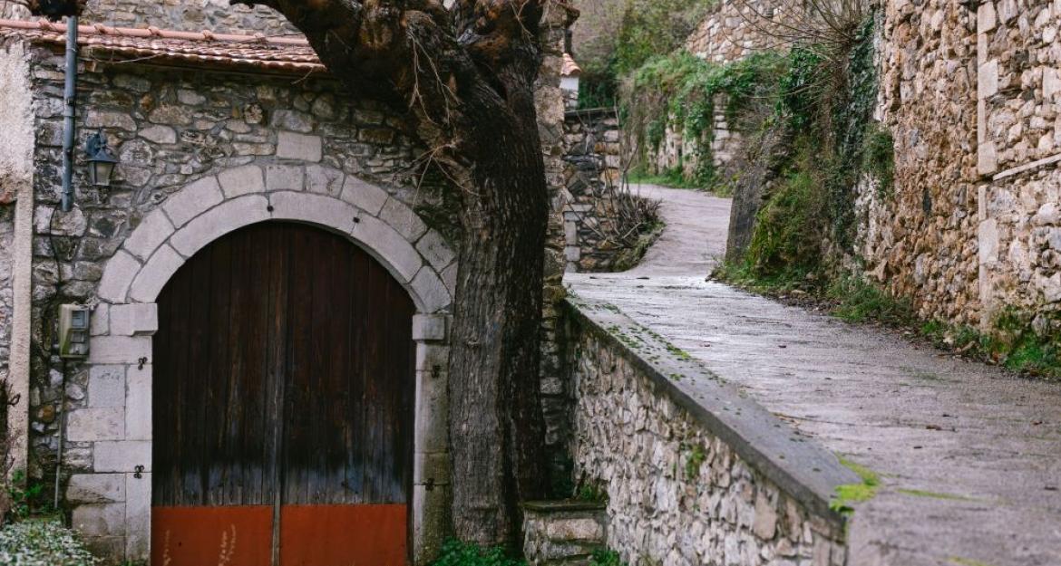 Πέντε νέοι προσπαθούν να αναβιώσουν το ερημωμένο χωριό της Βαμβακούς