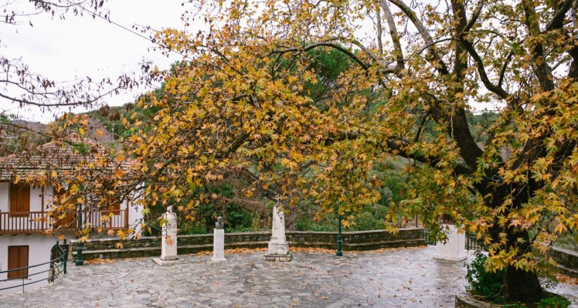 Πέντε νέοι προσπαθούν να αναβιώσουν το ερημωμένο χωριό της Βαμβακούς