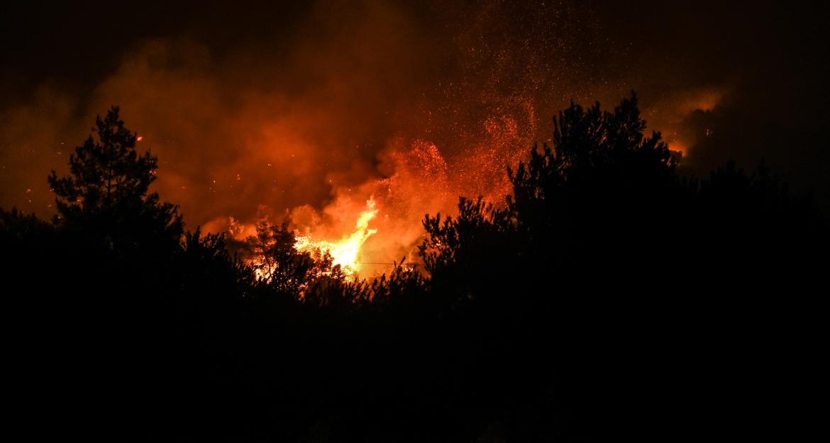 Μάχη με τις φλόγες στην Εύβοια - Ξεπέρασε τα 11,5 χιλ. το πύρινο μέτωπο (pics)