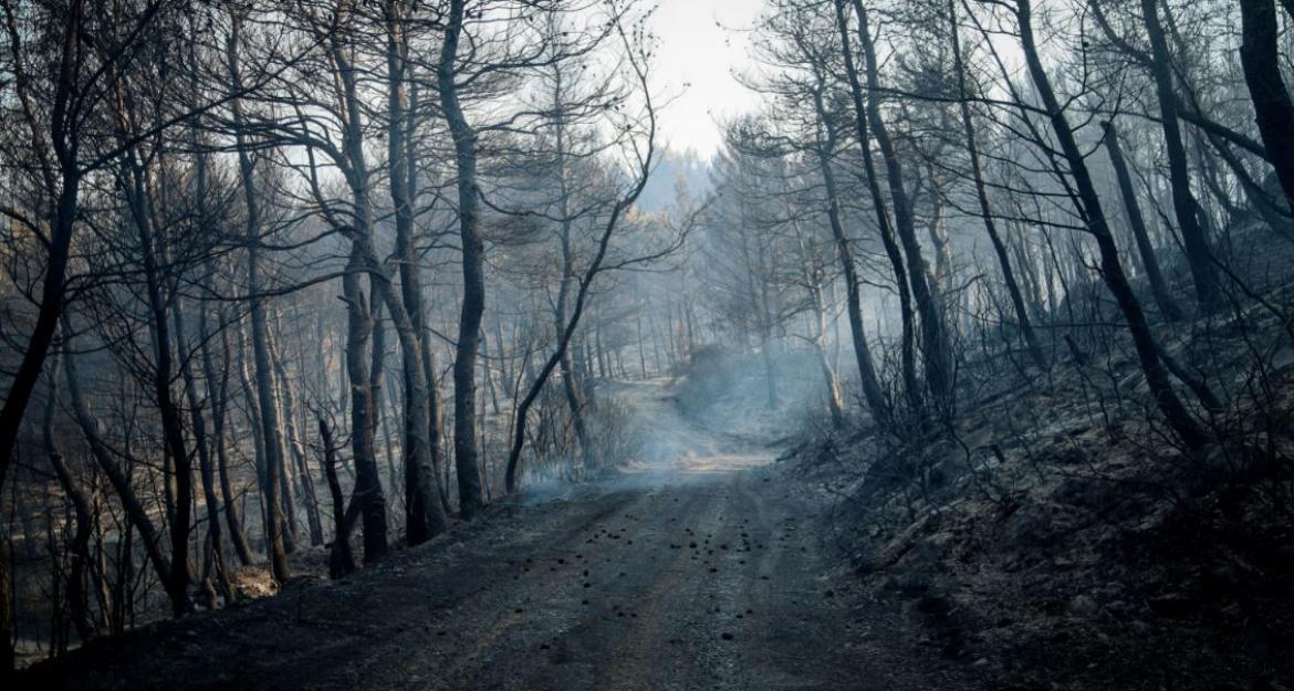 Συνεχίζεται η μάχη με τις φλόγες υπό το φόβο των αναζοπυρώσεων (pics)