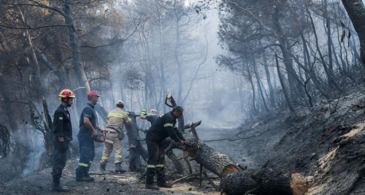 Συνεχίζεται η μάχη με τις φλόγες υπό το φόβο των αναζοπυρώσεων (pics)