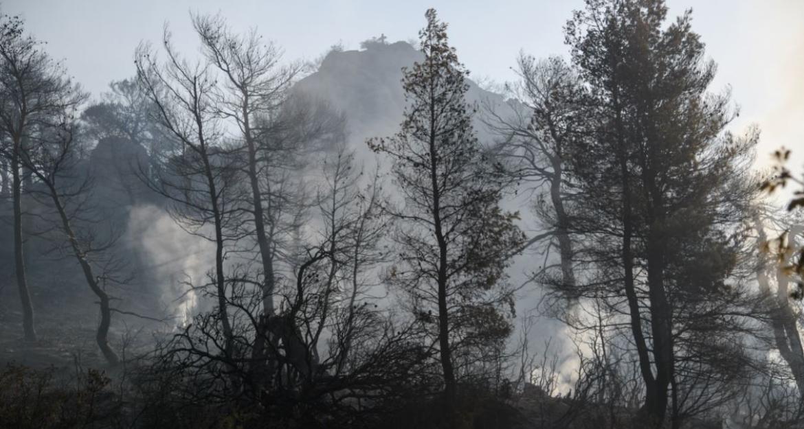 Συνεχίζεται η μάχη με τις φλόγες υπό το φόβο των αναζοπυρώσεων (pics)