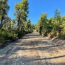 Μονοπάτια και βιώσιμος τουρισμός: Nέα «πράσινη» οικονομία στην ύπαιθρο