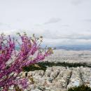 REMAX Ελλάς: Οικιστικά ακίνητα άνω των 20 ετών στις πρώτες επιλογές των αγοραστών ακινήτων