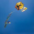 Καιρός: Πού θα επιμείνουν για λίγες ακόμα ώρες τα έντονα φαινόμενα – Με λιακάδα το πέταγμα του χαρταετού