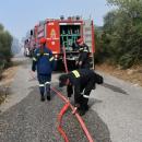 Κιλκίς: Τρεις συλλήψεις μετά τις πυρκαγιές που ξέσπασαν το Σάββατο