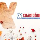 Χαλκιαδάκης: Πωλήσεις 266 εκατ. ευρώ για το «δυνατό χαρτί» του Σκλαβενίτη