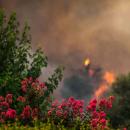 Πολύ υψηλός κίνδυνος πυρκαγιάς σε Κρήτη και νησιά Βόρειου και Νότιου Αιγαίου - Οι περιοχές σε «Red Code»