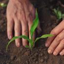 Η γνώση στο χωράφι: Το σχέδιο για μια νέα εποχή αγροτικής εκπαίδευσης στην Ελλάδα