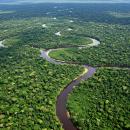 Η καταστροφή των τροπικών δασών επιβραδύνεται, αλλά παραμένει ανησυχητική