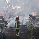 ΕΛΕΤΑΕΝ: «Η διαρκής στοχοποίηση της αιολικής ενέργειας υπονομεύει τα οφέλη που προσφέρει»