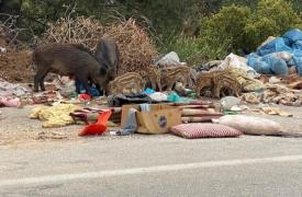 Κράμερ εναντίον Κράμερ στη ΝΔ με Όλγα, Μαριέττα, Τσιάρα