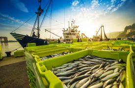 ΥΠΑΑΤ: Μέχρι τις 15 Μαρτίου οι αιτήσεις για αποζημιώσεις σε αλιεία και υδατοκαλλιέργεια
