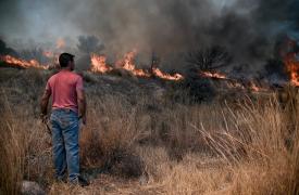 Πυρκαγιά σε χαμηλή βλάστηση στα Νεόκτιστα Ασπροπύργου