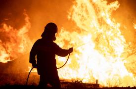 Πυρκαγιά στην Άμφισσα: Ολονύκτια μάχη με τις φλόγες - Η εικόνα στα άλλα πύρινα μέτωπα