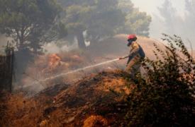 Αμαλιάδα: Φωτιά στην περιοχή Χάβαρι