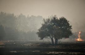 Ισπανία: Οι πυρκαγιές στο βόρειο τμήμα της χώρας έχουν τεθεί υπό έλεγχο