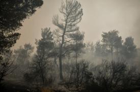 Μελέτη: Η κλιματική αλλαγή θα αυξήσει τις δασικές πυρκαγιές παγκοσμίως, ιδίως στη Μεσόγειο