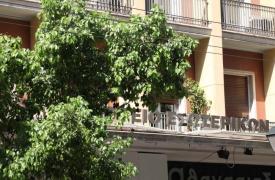 Νέες υπηρεσίες για πολίτες και δήμους στο Εθνικό Μητρώο Ζώων Συντροφιάς