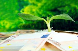 EY: 45% των επιχειρήσεων στην Ελλάδα έχουν αποκομίσει υψηλότερη αξία από τις πρωτοβουλίες τους για το κλίμα