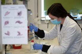 Κορονοϊός: Έκτακτη ενημέρωση για τον εμβολιασμό το απόγευμα - Μέτρα «πριν το κύμα γίνει τσουνάμι» ζητά ο Καπραβέλος