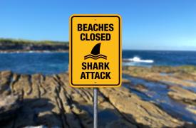 Αυστραλία: Ένας έφηβος τραυματίστηκε σοβαρά σε επίθεση καρχαρία