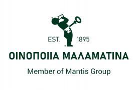 Μπαράζ επενδύσεων και αναζήτηση νέων συνεργασιών για τον όμιλο Mantis – Ανοδικά ο τζίρος το 2021