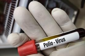 Γερμανία: Ιός πολιομυελίτιδας WPV1 ανιχνεύθηκε σε λύματα