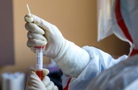 ΥΠΑΑΤ: Παρατείνεται η διάθεση 79 στρατιωτικών κτηνιάτρων για την ευλογιά και τον αφθώδη πυρετό