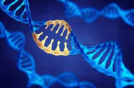 Βιολογία: Οι χάρτες των ανθρώπινων γονιδίων στερούνται παγκόσμιας εκπροσώπησης