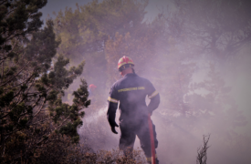 Πάνω από 1.800 δασικές πυρκαγιές από την έναρξη της αντιπυρικής περιόδου