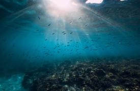 Copernicus: Οι ωκεανοί κοντά σε επίπεδα ρεκόρ υψηλής θερμοκρασίας