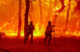 Συνελήφθη 57χρονος στη Λέσβο που ομολόγησε τέσσερις εμπρησμούς