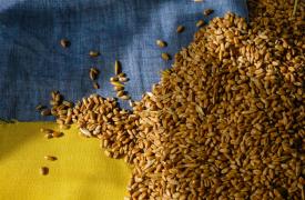 Η Ουκρανία θα αποστείλει φορτίο σιτηρών στην Αιθιοπία
