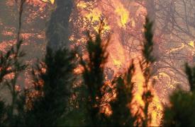 Ποιες περιοχές της Ελλάδας απειλούνται περισσότερο από τις πυρκαγιές - Τι δείχνει ο Εθνικός Χάρτης Εκτίμησης Κινδύνου