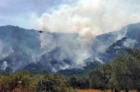 Αστεροσκοπείο: Η πυρκαγιά του Αυγούστου στη Θάσο έκαψε 2.770 στρέμματα (το 84% δασική έκταση)