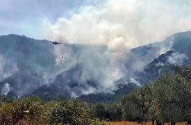 Πυρκαγιές: Τα μέσα που διαθέτει η Ελλάδα και οι αλλαγές που θα κάνουν τη διαφορά